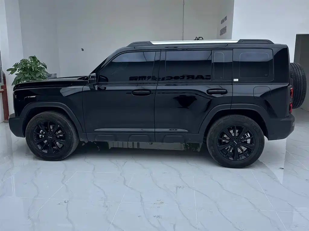 Haval Menglong New Energy 2024 Hi4 102 Pro