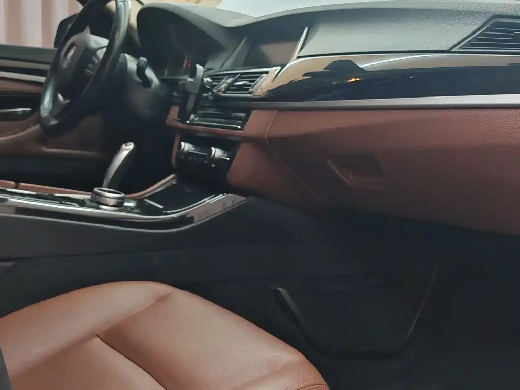 BMW 5 Series 2017 520Li Elegance