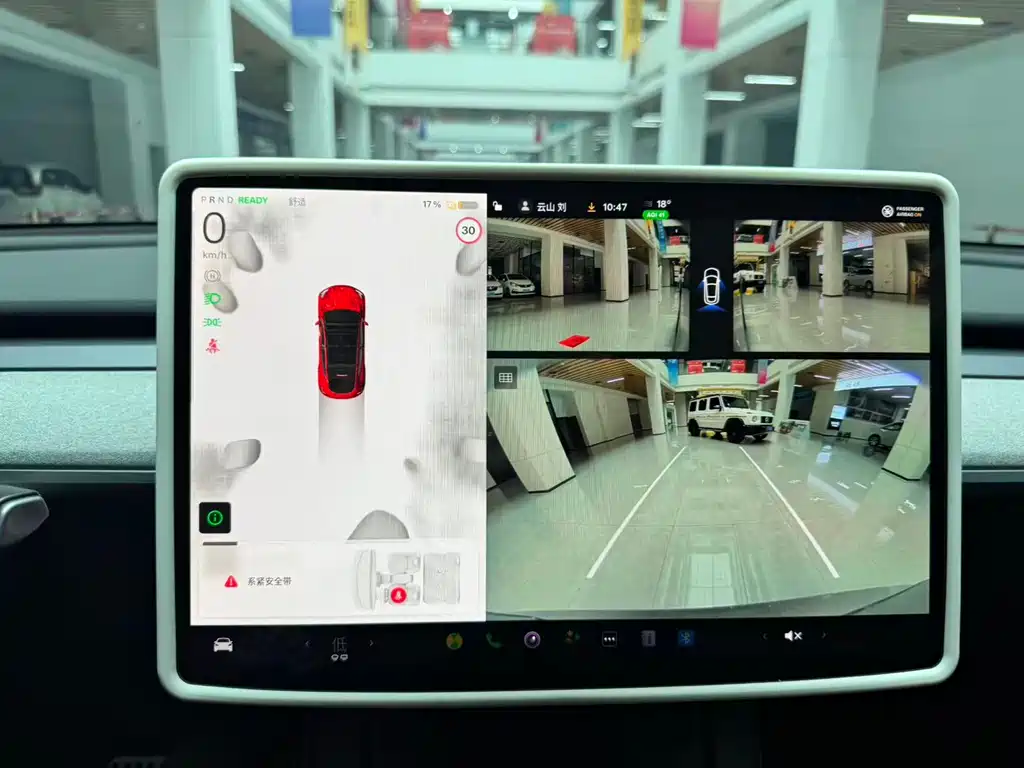 Model Y 2024 Rear-Wheel Drive