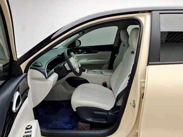 Geely Xingyuan 2025 310km Youth Edition