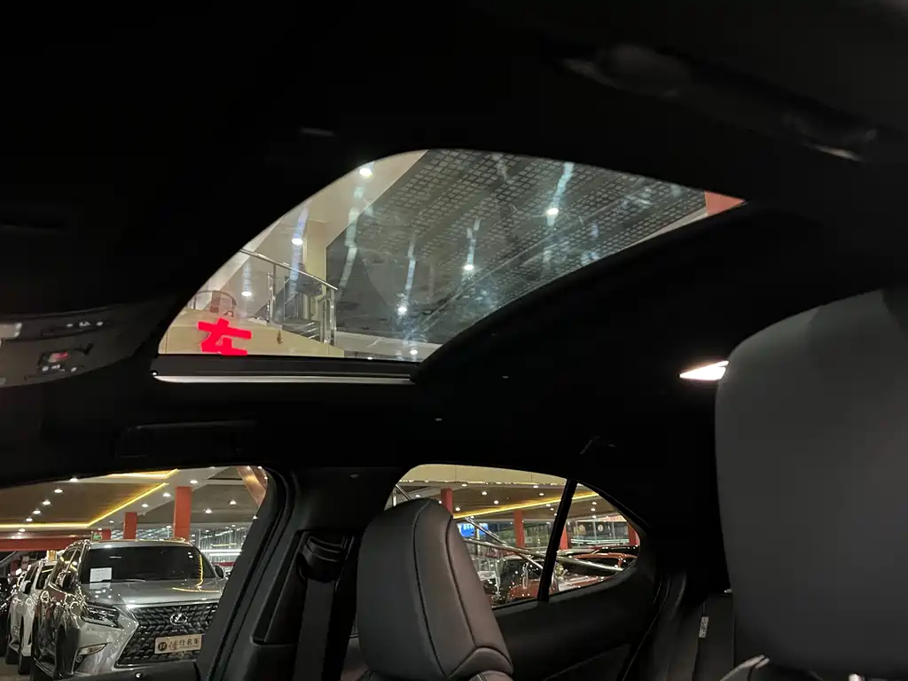 Lexus UX 2020 260h F Sport China V