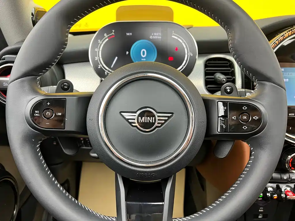 MINI 2022 2.0T COOPER S Artist Edition