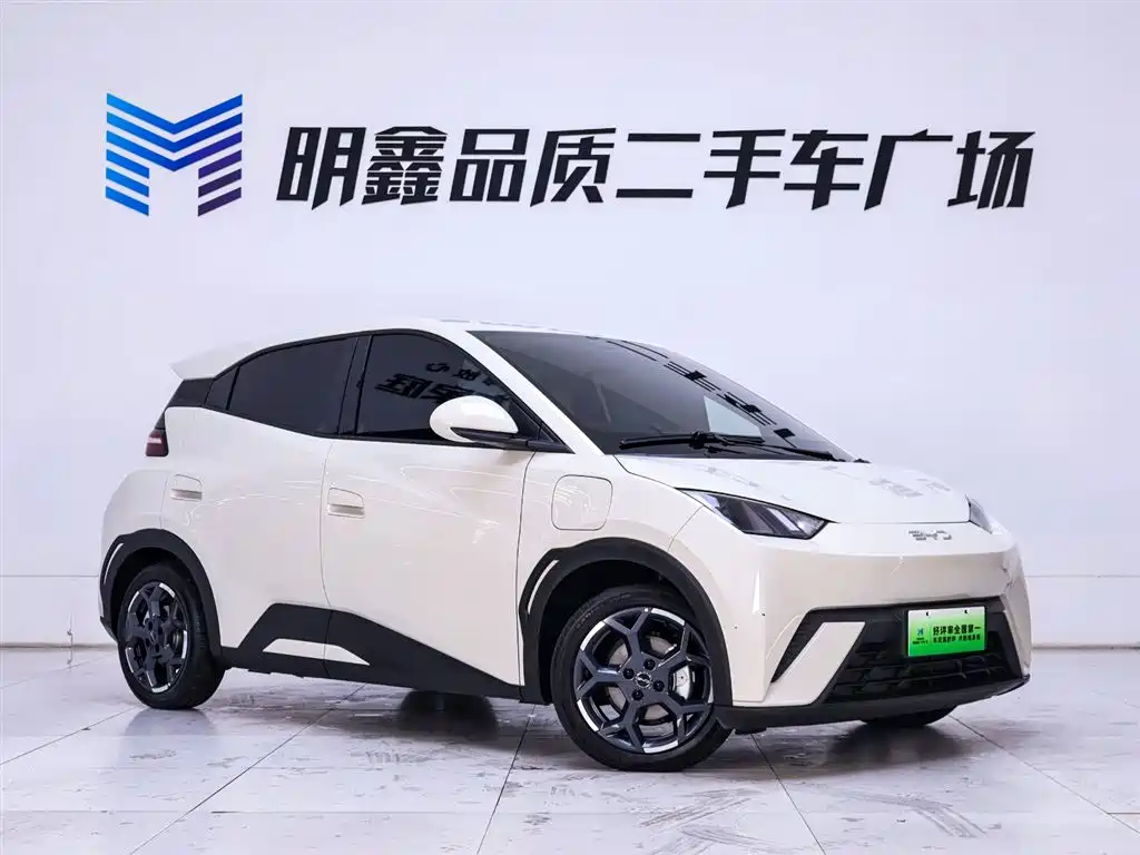 BYD Seagull 2025 305km Free Edition