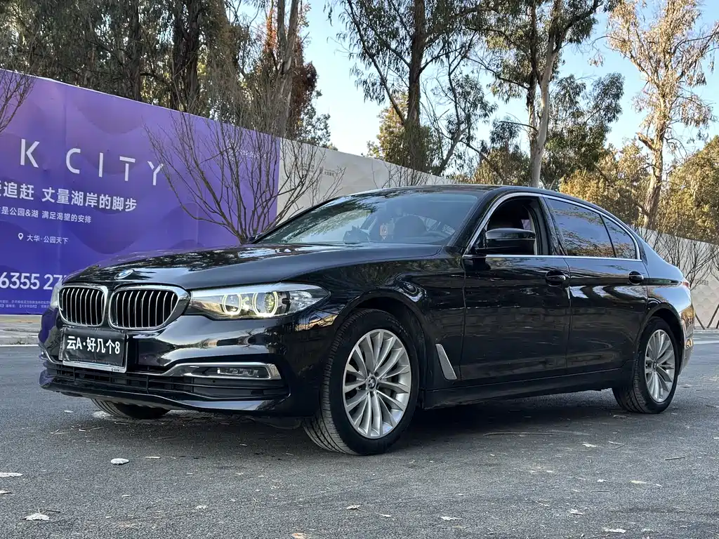 BMW 5 Series 2019 530Li Leading Edition Luxury Package