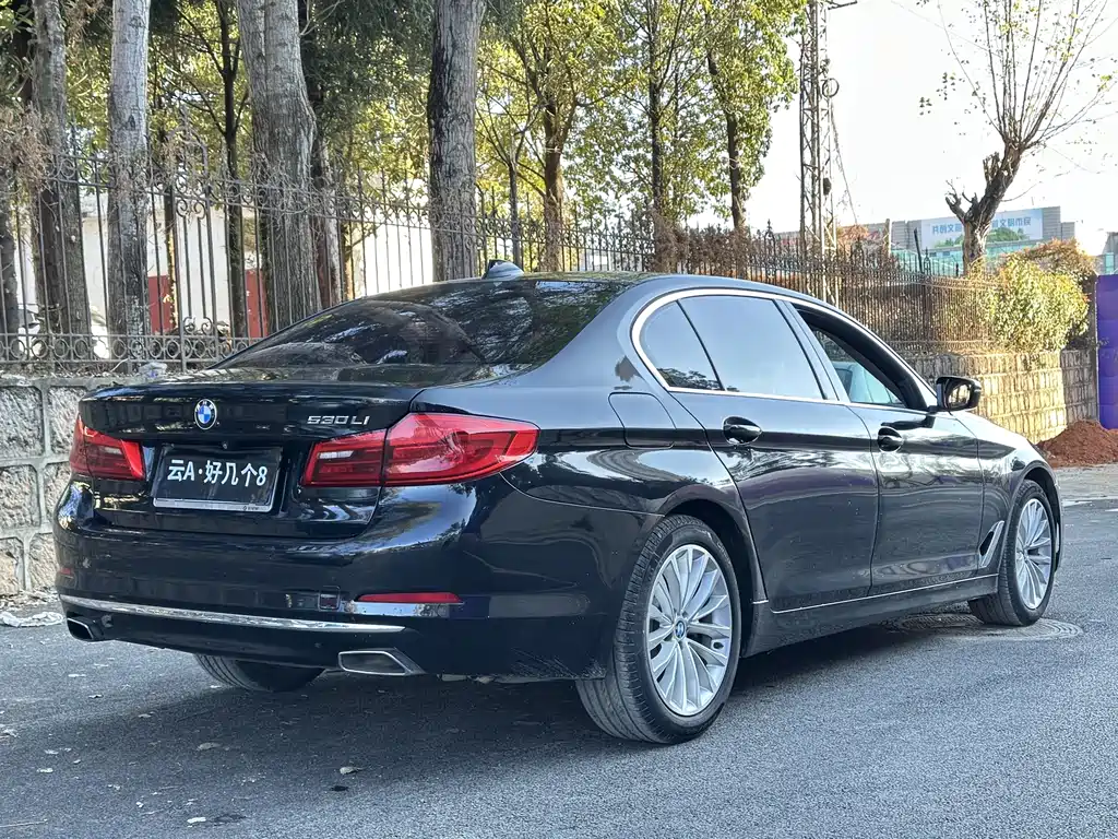 BMW 5 Series 2019 530Li Leading Edition Luxury Package