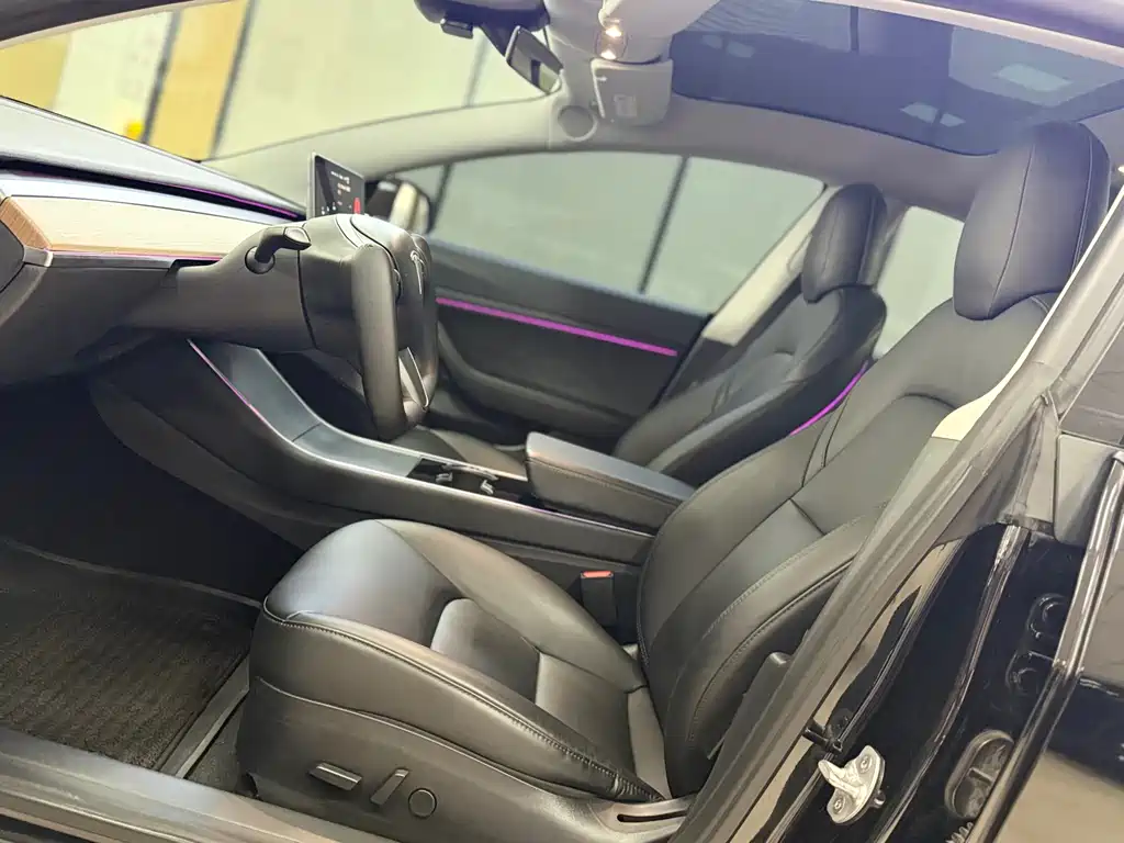 Tesla Model 3 2020 Standard Range Plus