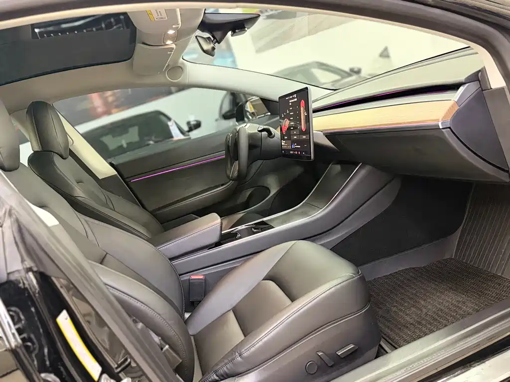 Tesla Model 3 2020 Standard Range Plus