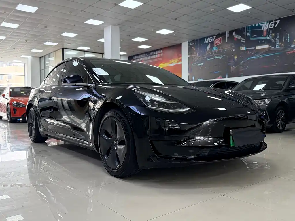 Tesla Model 3 2020 Standard Range Plus