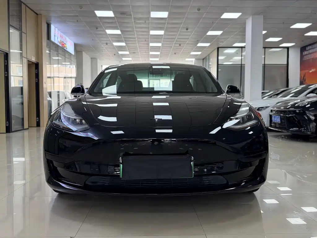 Tesla Model 3 2020 Standard Range Plus