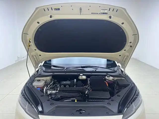 Seal 06 2024 DM-i 120KM Flagship