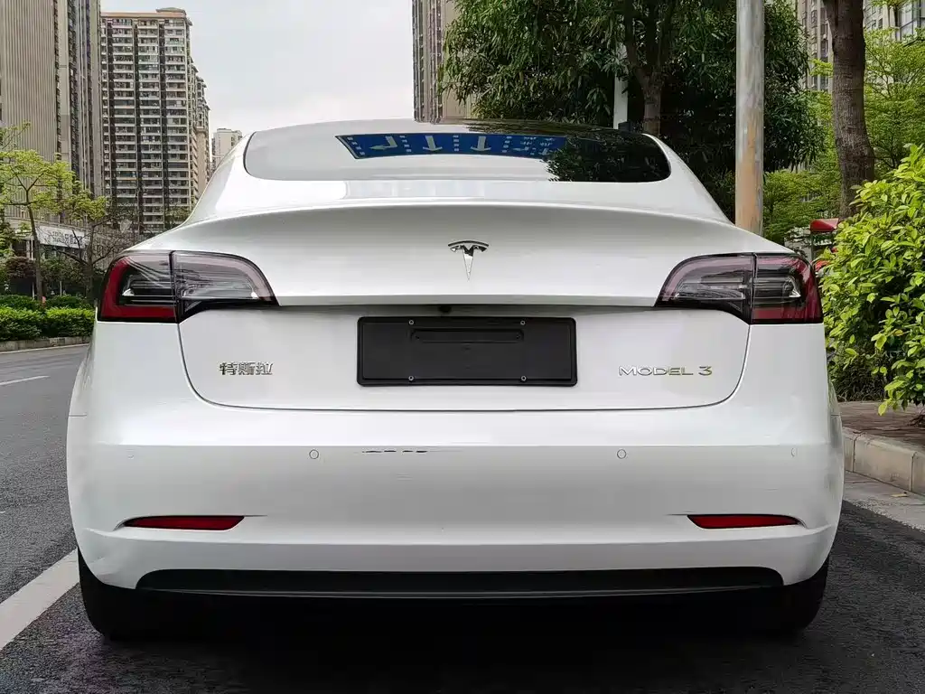 Model 3 2019 Standard Range Plus RWD