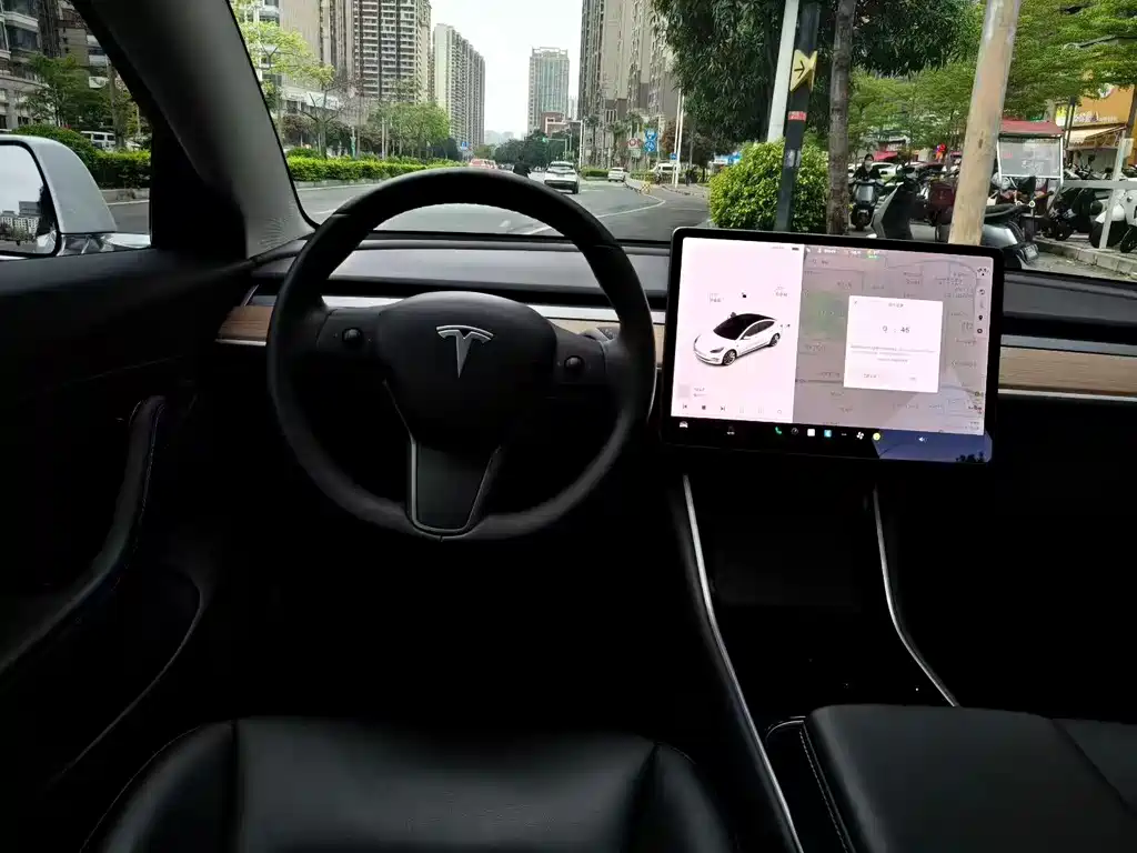 Model 3 2019 Standard Range Plus RWD