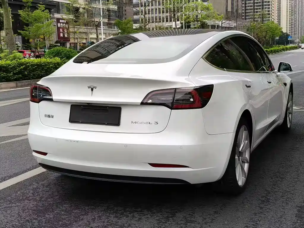 Model 3 2019 Standard Range Plus RWD