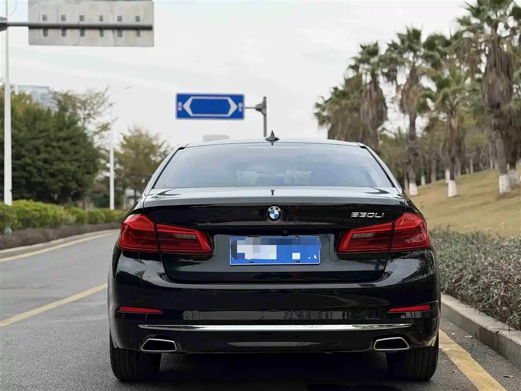 BMW 5 Series 2018 530Li Executive Luxury Edition