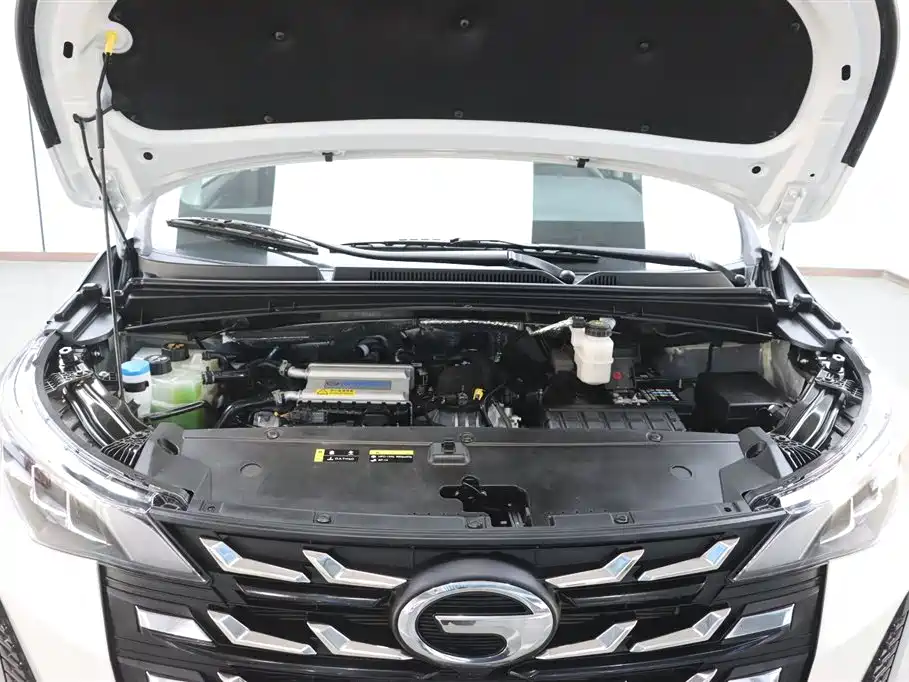 GAC Trumpchi M6 2023 PRO 270T DCT Luxury Edition