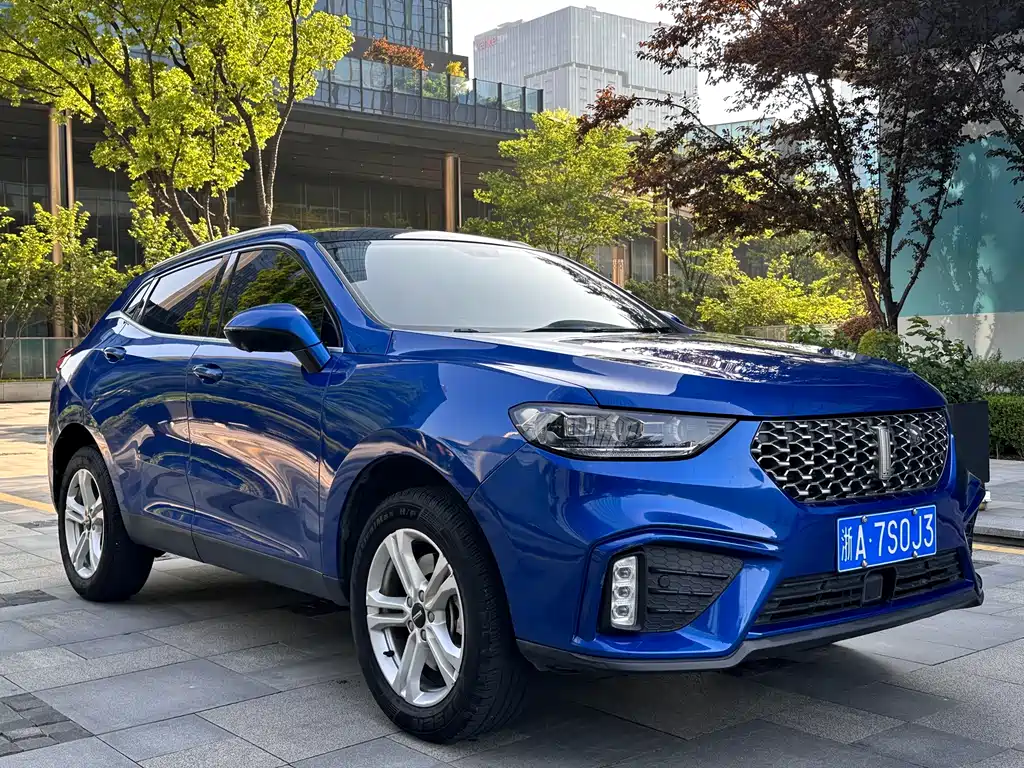 WEY VV5 2020 1.5T FWD Yan Xianfeng Edition