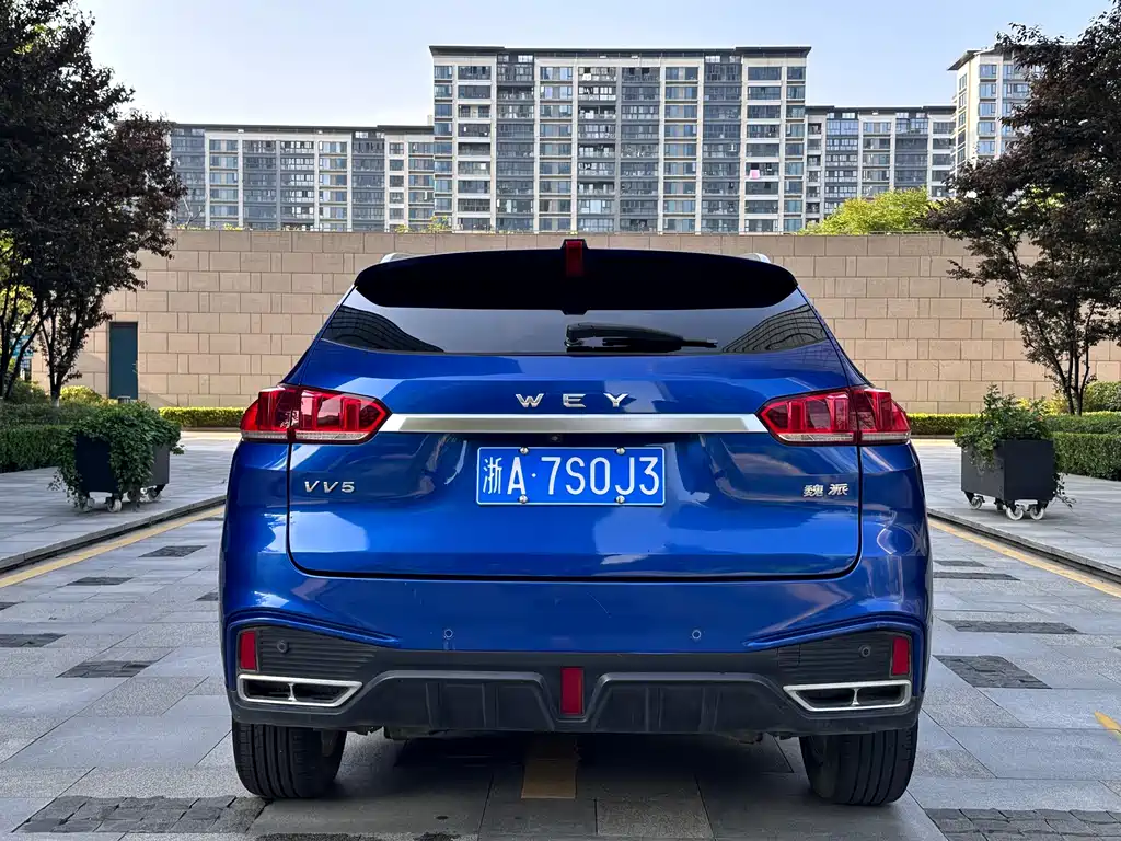 WEY VV5 2020 1.5T FWD Yan Xianfeng Edition