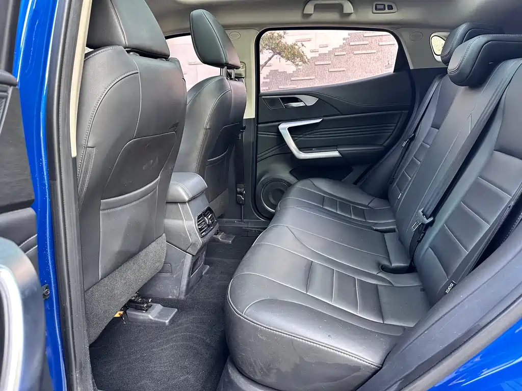 WEY VV5 2020 1.5T FWD Yan Xianfeng Edition