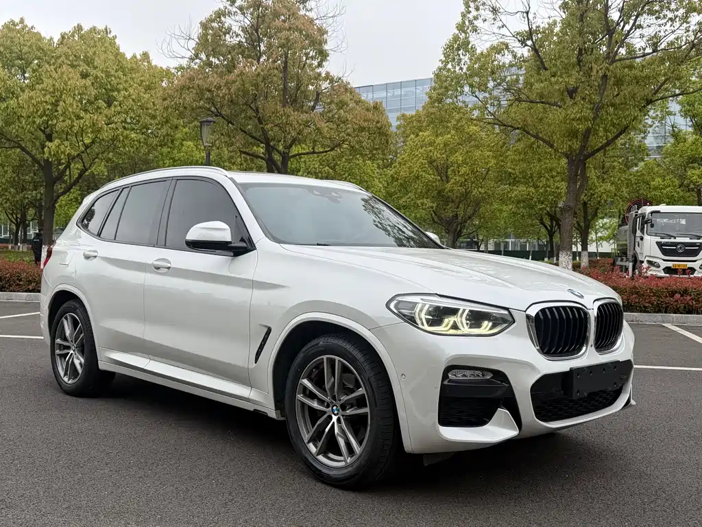 BMW X3 2018 xDrive30i Leading Edition M Sport Package China V