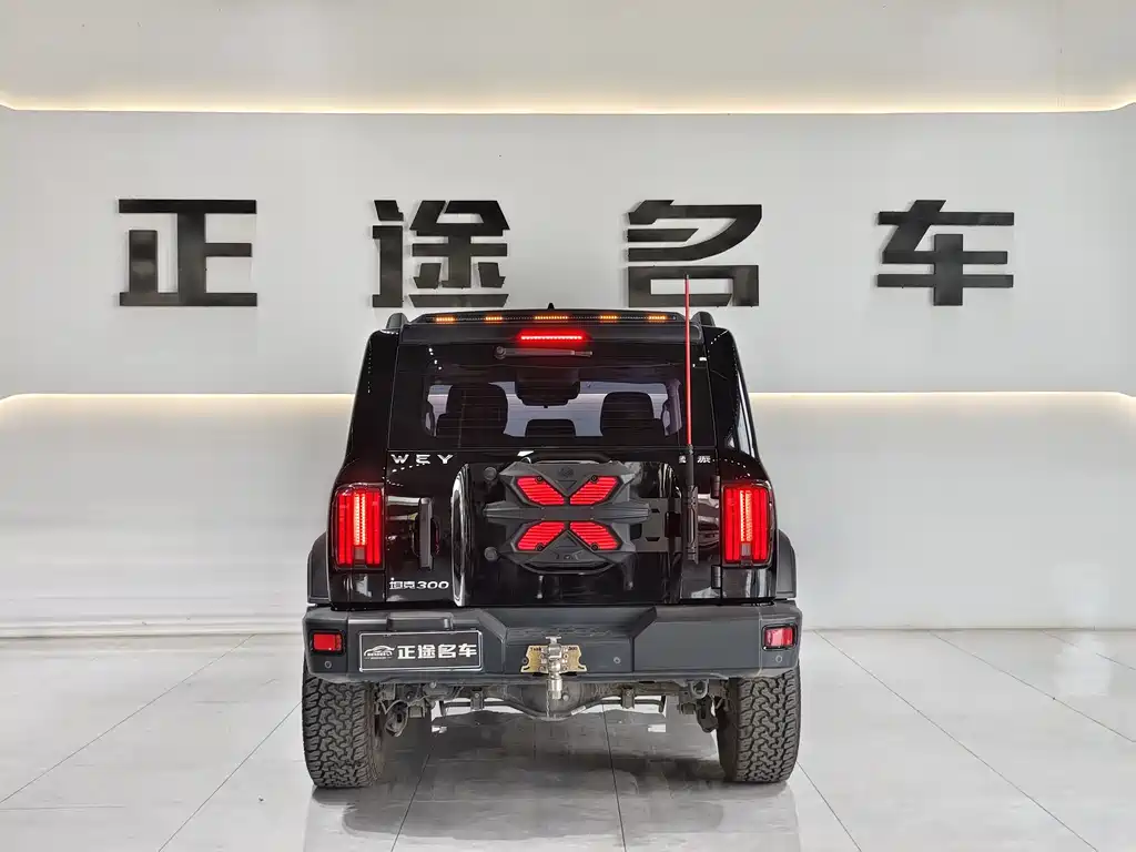 Tank 300 2021 Off-Road Edition 2.0T Conqueror