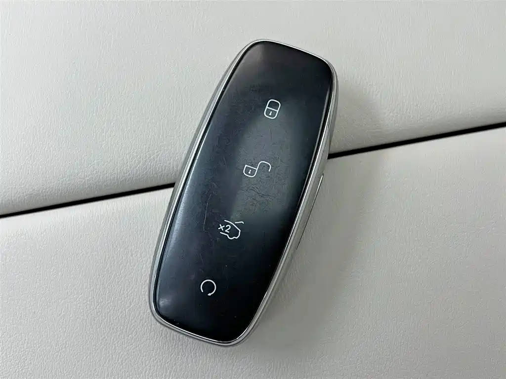 Denza D9 2024 DM-i 980 AWD Deluxe