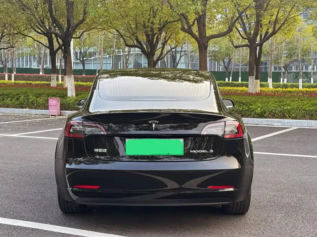 Model 3 Standard Range Plus RWD