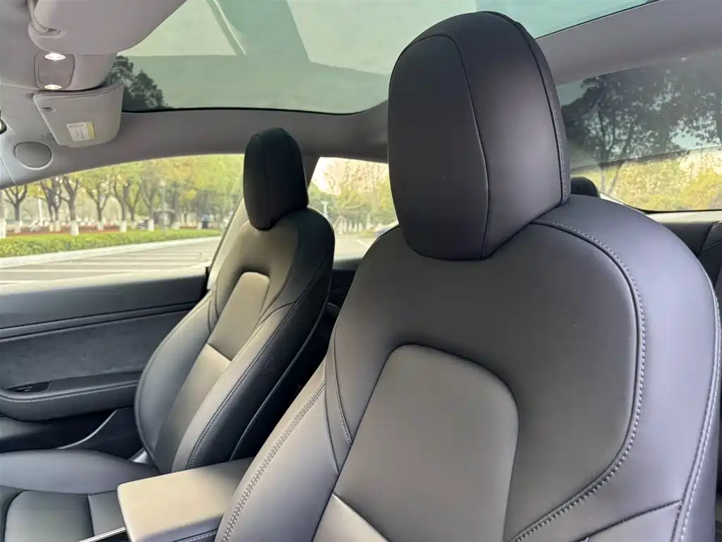 Model 3 Standard Range Plus RWD