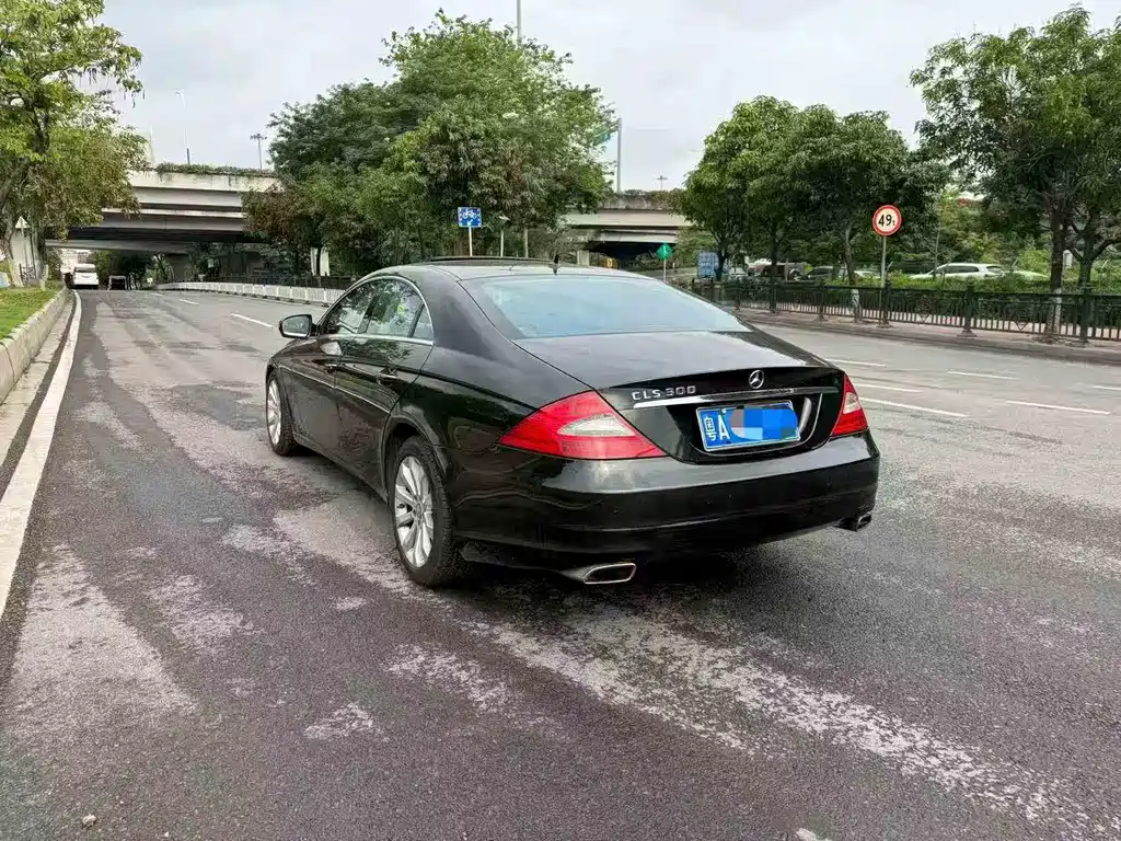 Mercedes-Benz CLS 2009 CLS 300