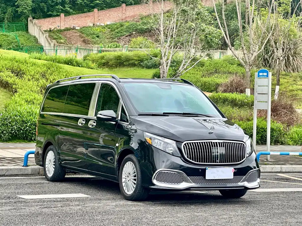 Vito 2018 2.0T Business Edition China V