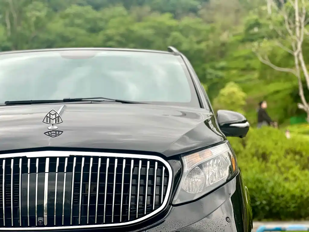 Vito 2018 2.0T Business Edition China V