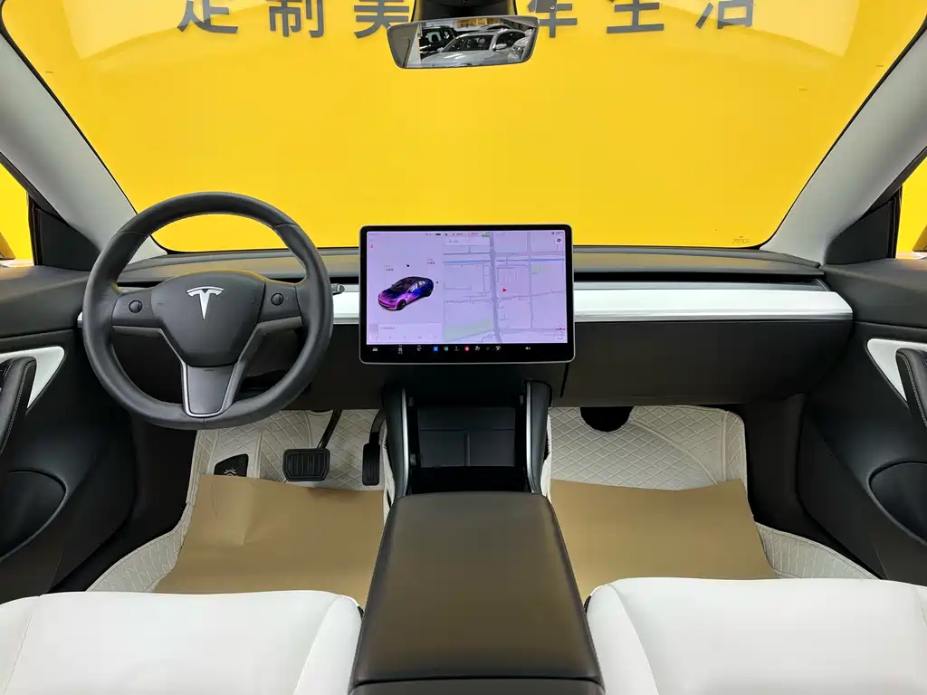 Model 3 2020 Standard Range Plus RWD