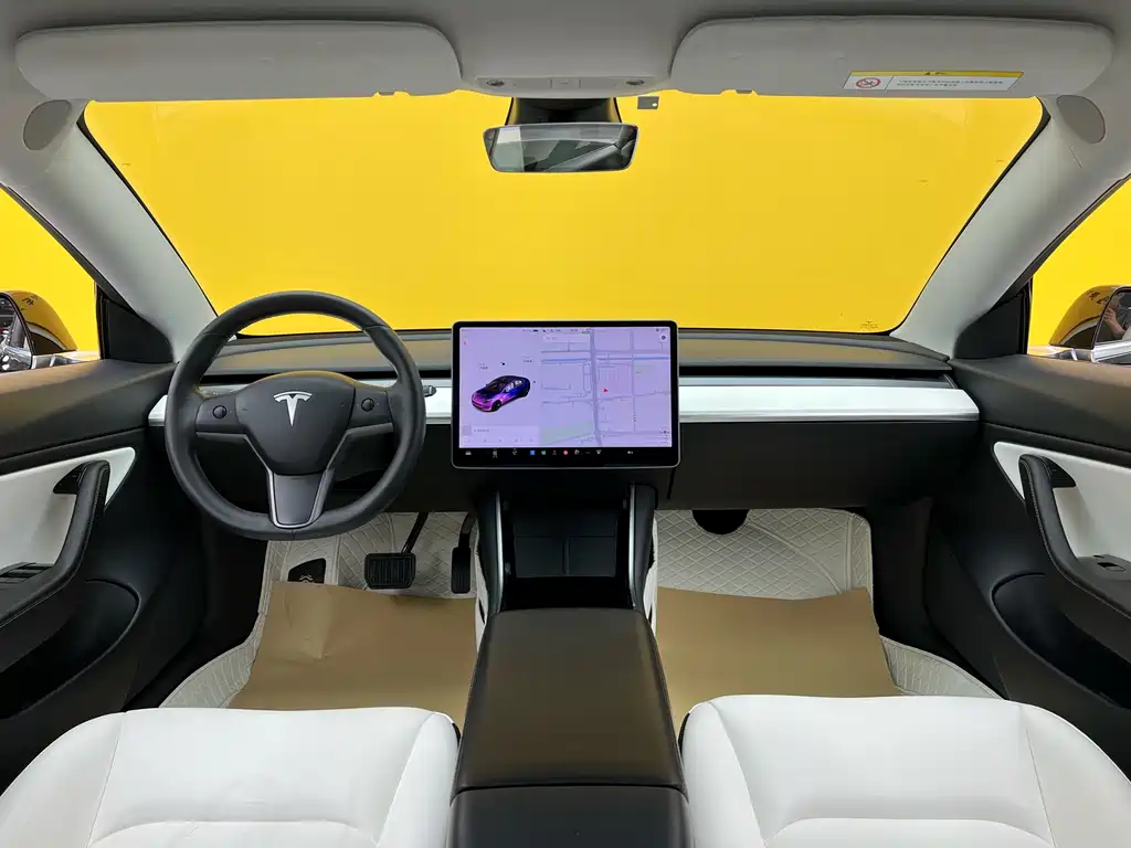 Model 3 2020 Standard Range Plus RWD
