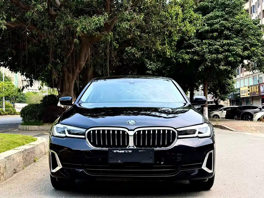 BMW 5 Series 2022 530Li Leading Edition Luxury Package