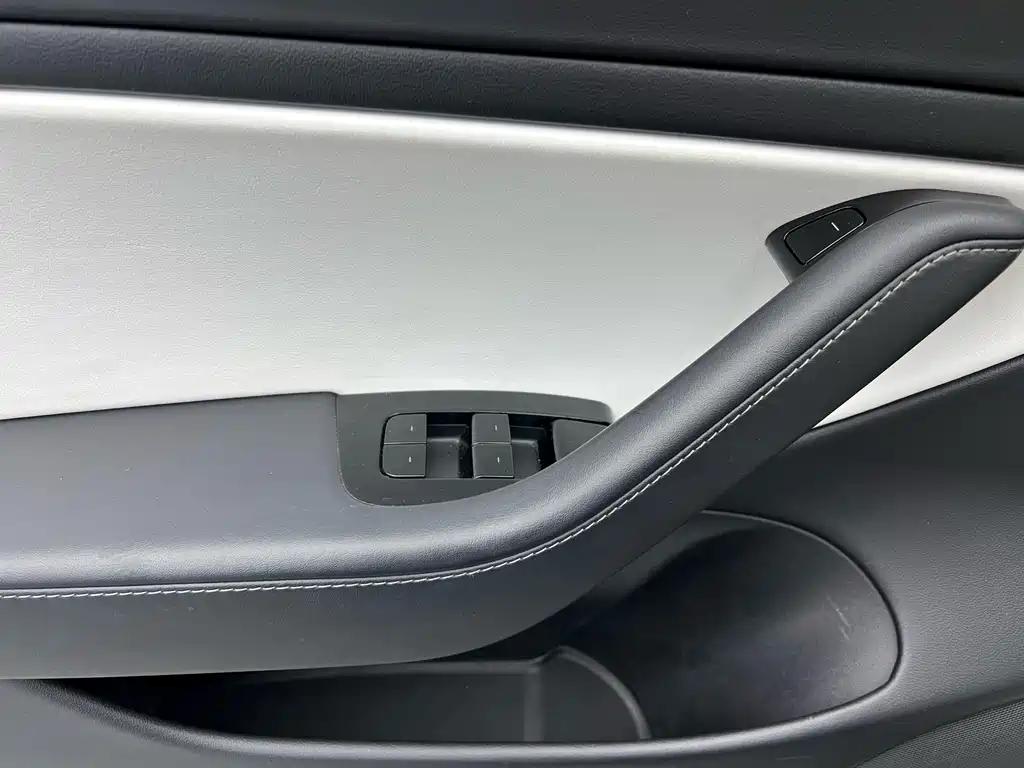 Model 3 2020 Standard Range Plus RWD