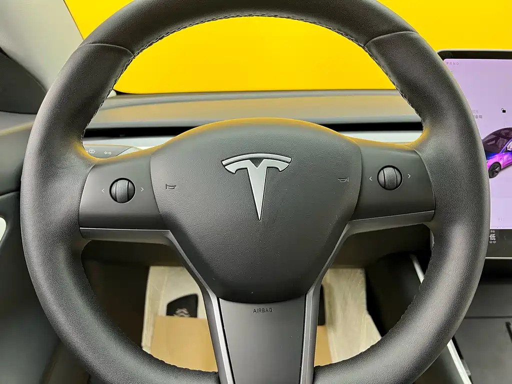 Model 3 2020 Standard Range Plus RWD