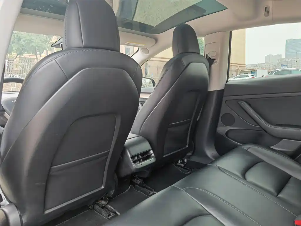 Tesla Model 3 2022 Rear-Wheel Drive