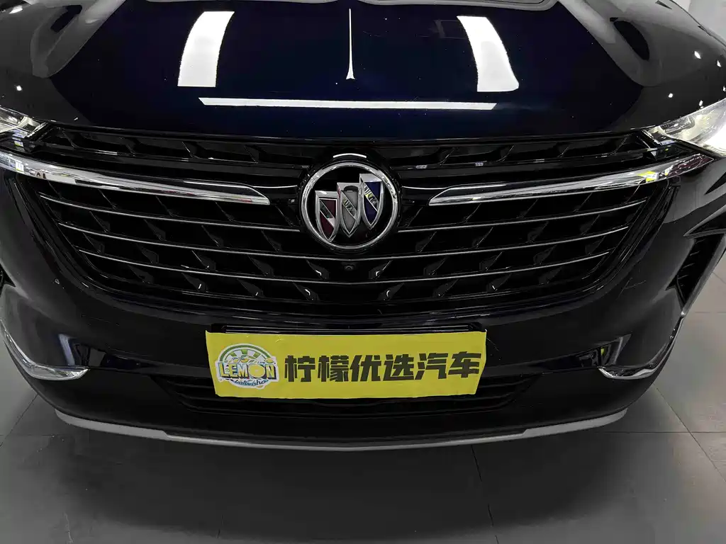 Buick Envision Plus 2021 2.0T Luxury