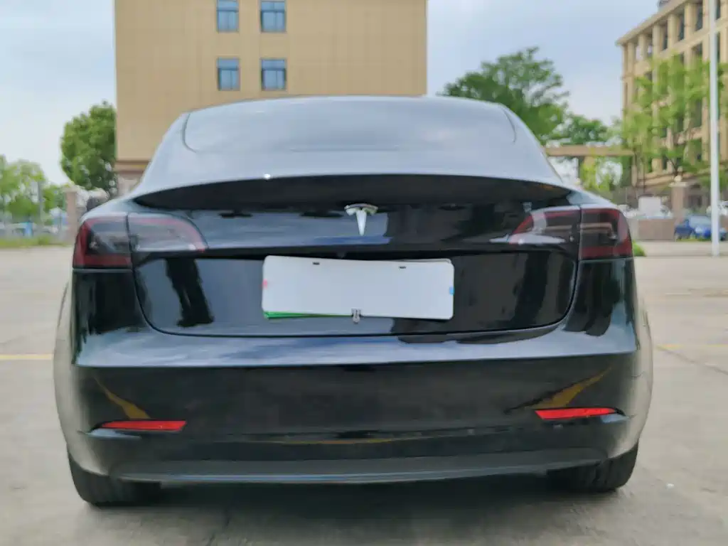Tesla Model 3 2022 Rear-Wheel Drive