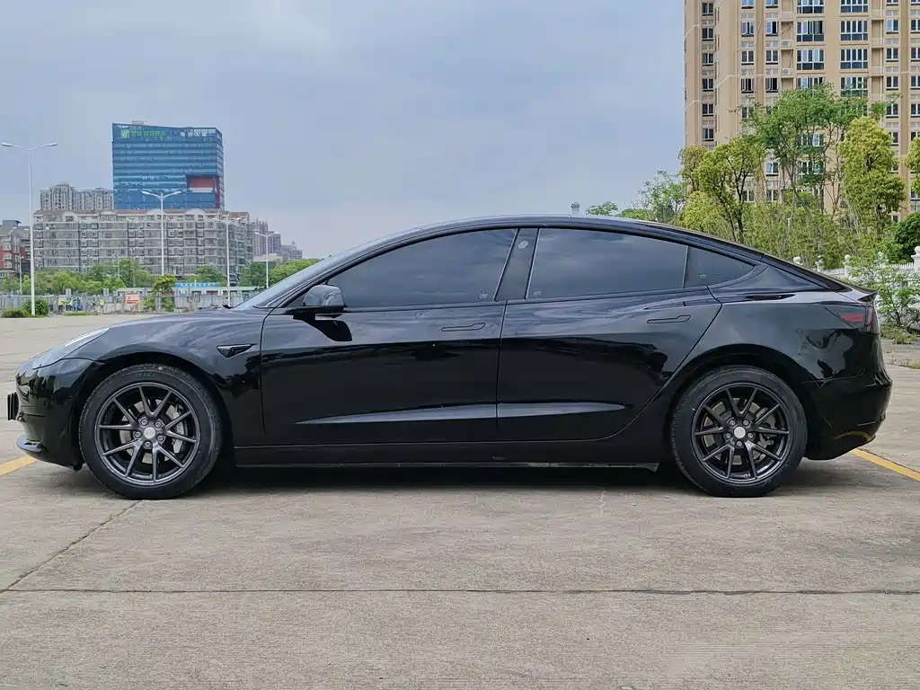 Tesla Model 3 2022 Rear-Wheel Drive