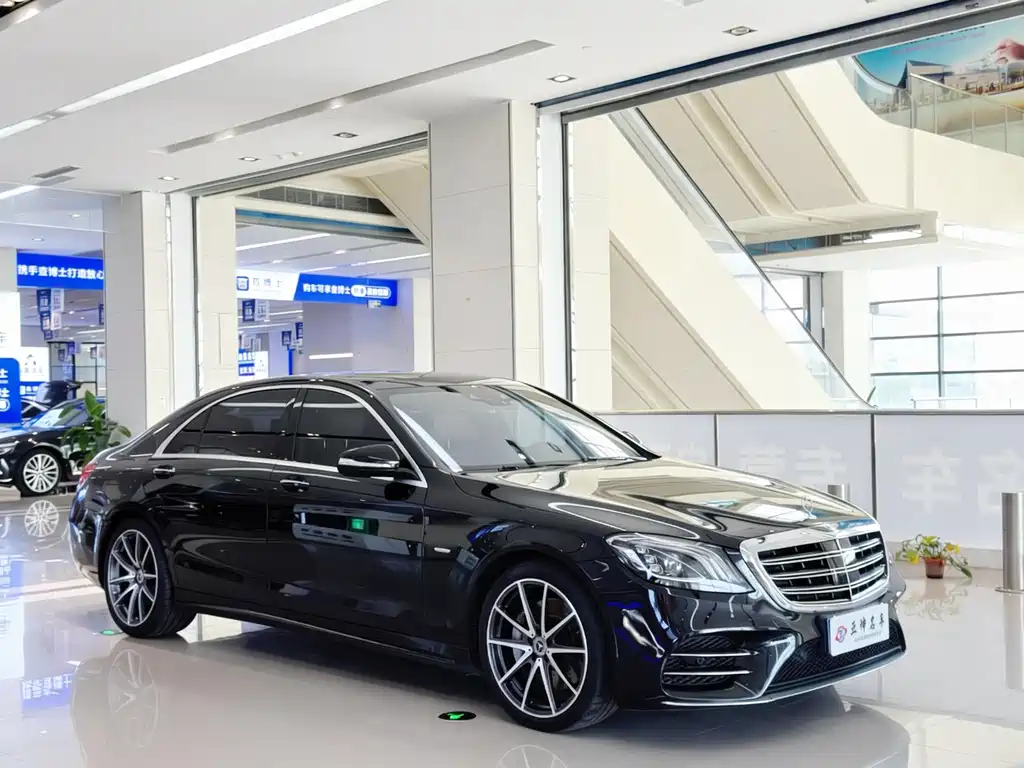 Mercedes-Benz S-Class 2020 S 450 L 4MATIC Zhenzang Edition