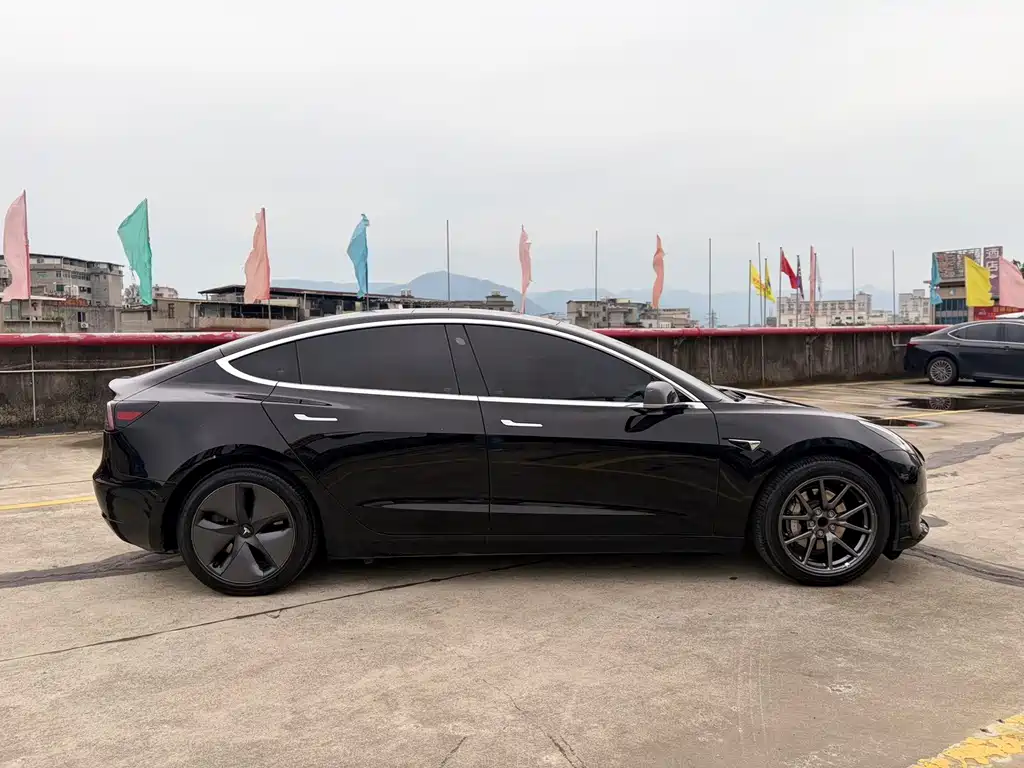 Tesla Model 3 2021 Standard Range Plus RWD