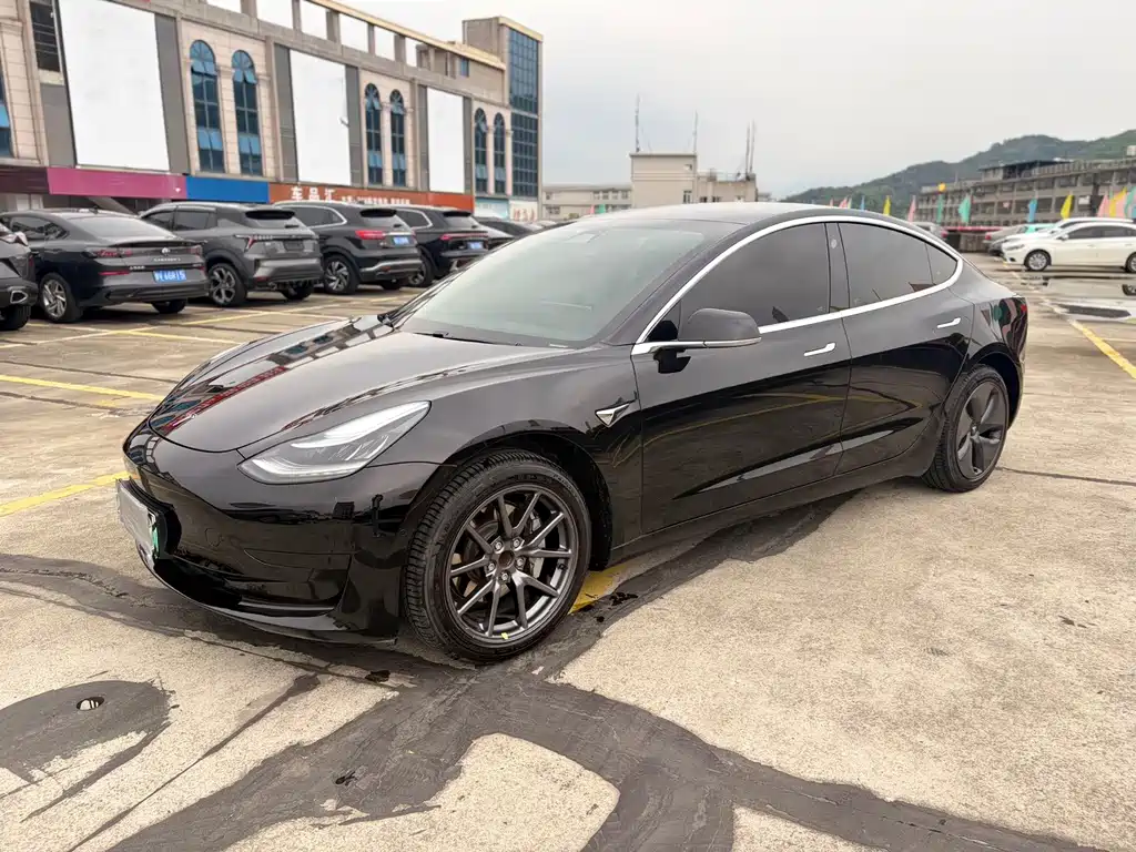 Tesla Model 3 2021 Standard Range Plus RWD
