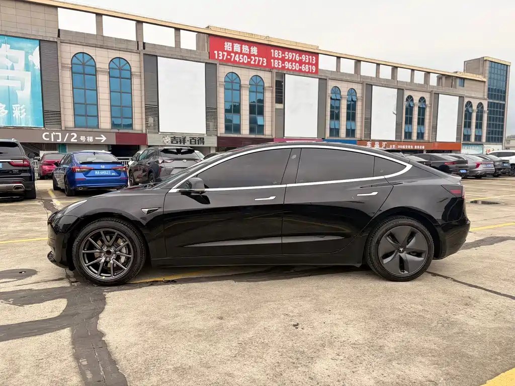 Tesla Model 3 2021 Standard Range Plus RWD