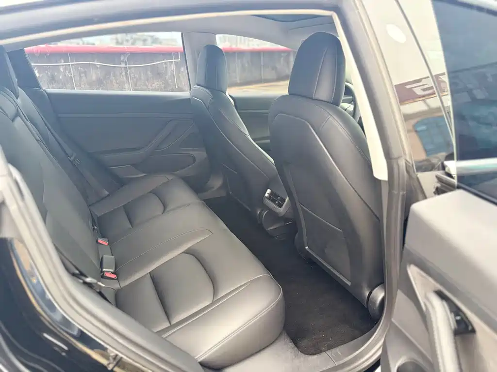 Tesla Model 3 2021 Standard Range Plus RWD
