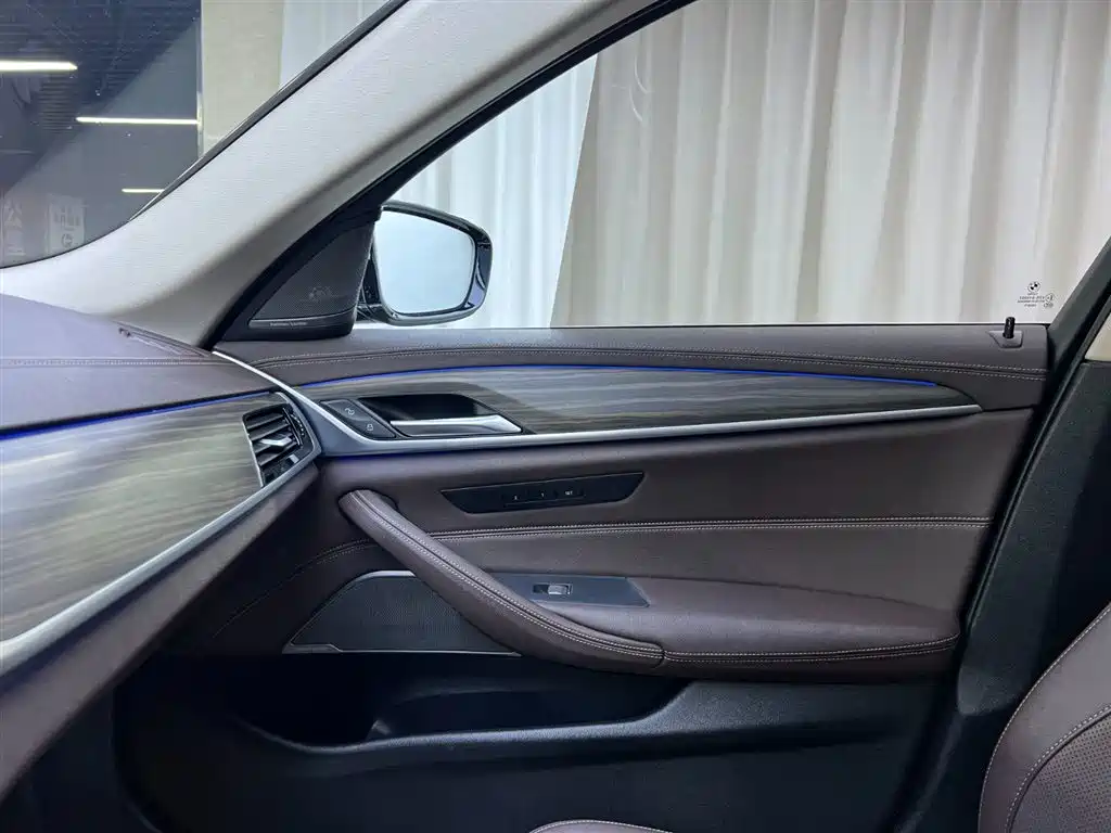 BMW 5 Series 2021 530Li xDrive Luxury Line