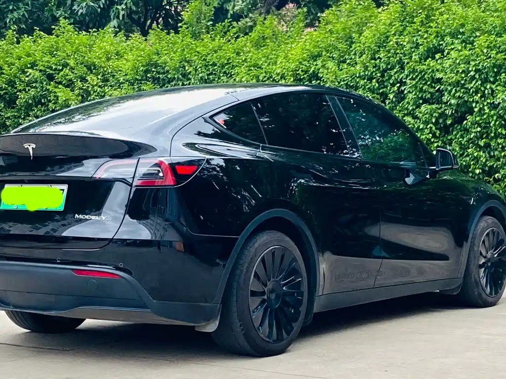 Tesla Model Y 2022 RWD