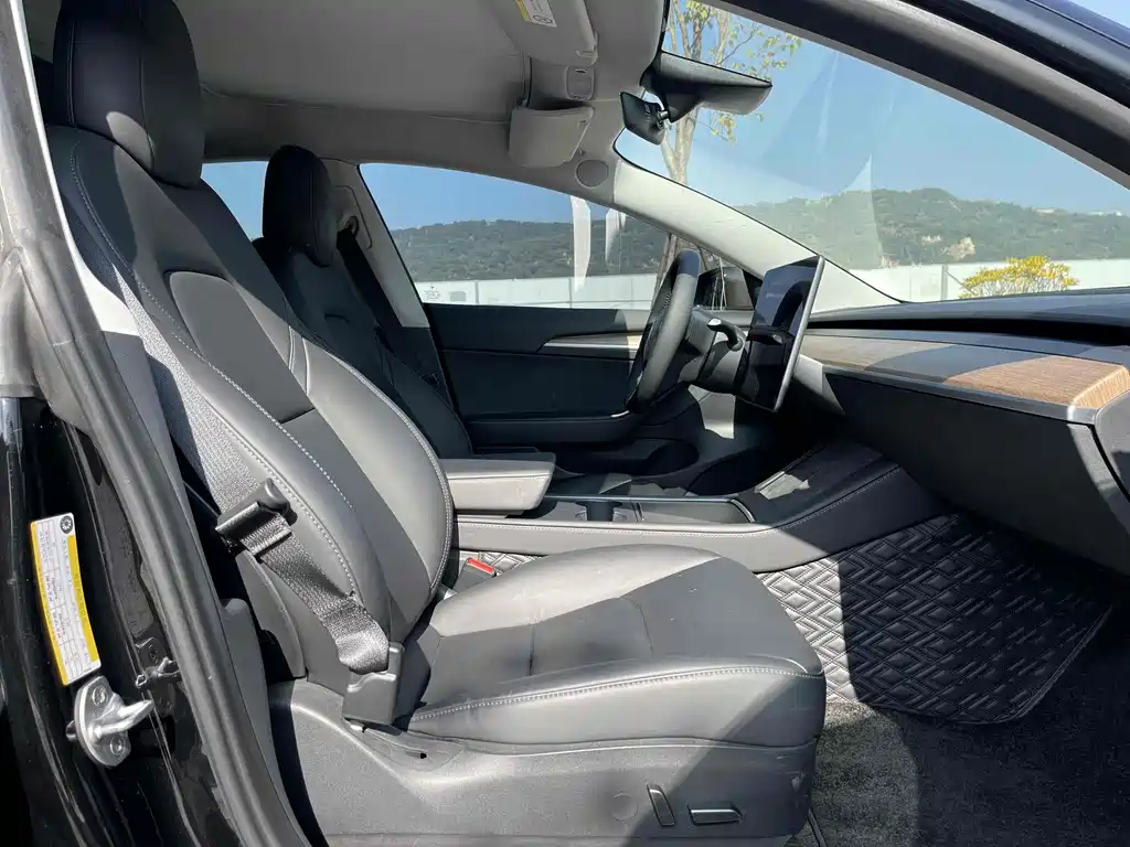 Tesla Model 3 2021 Standard Range Plus RWD