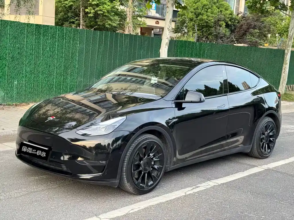 Model Y 2021 Standard Range Rear-Wheel Drive