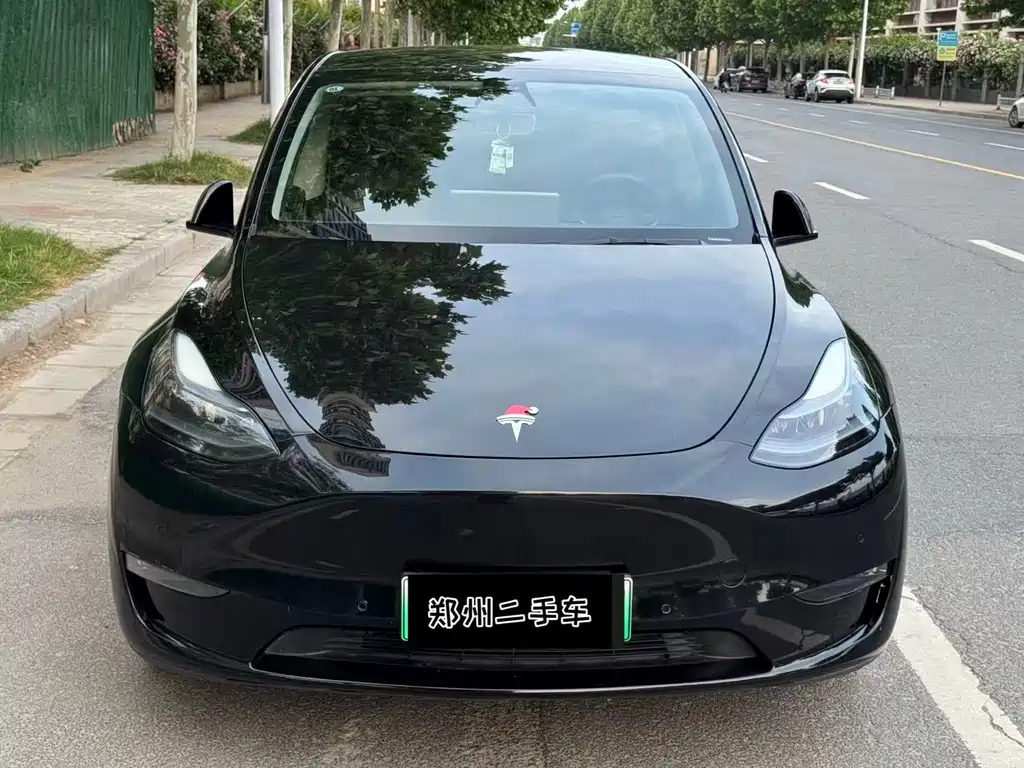 Model Y 2021 Standard Range Rear-Wheel Drive