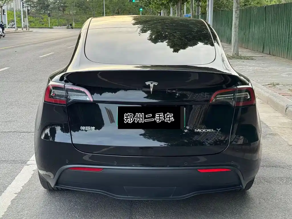 Model Y 2021 Standard Range Rear-Wheel Drive